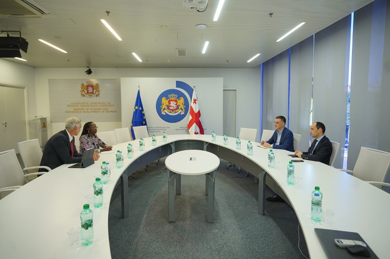 ლევან დავითაშვილმა მსოფლიო ბანკის წარმომადგენლებთან პარტნიორობის საკითხები განიხილა