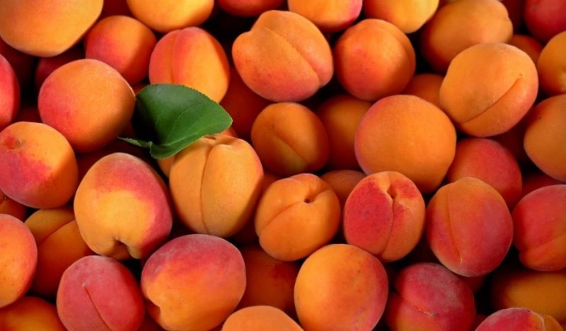 2024 წელს საქართველოდან ექსპორტირებულია 236 მლნ აშშ დოლარის ღირებულების ხილი, რაც 2023 წლის მაჩვენებელს 14%-ით აღემატება