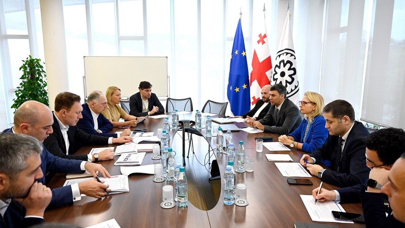 ჩვენ  ვაგრძელებთ საუბარს სხვადასხვა რეგულაციის დახვეწასა და შერბილებაზე - ნათია თურნავა ბანკებთან შეხვედრაზე