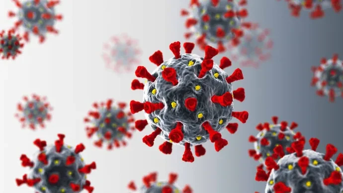 საქართველოში კორონავირუსის ახალი შტამის EG.5-ის არცერთი შემთხვევა არ დადასტურებულა - ჯანდაცვის სამინისტრო