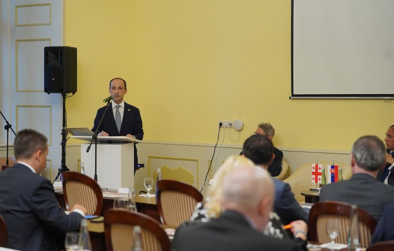 ჩვენი ინტერესია, მაქსიმალურად ხელი შევუწყოთ სლოვაკური ინვესტიციების გაზრდას საქართველოში - ლევან დავითაშვილი