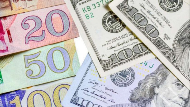 1 აშშ დოლარის ოფიციალური ღირებულება 2.6252 ლარი გახდა