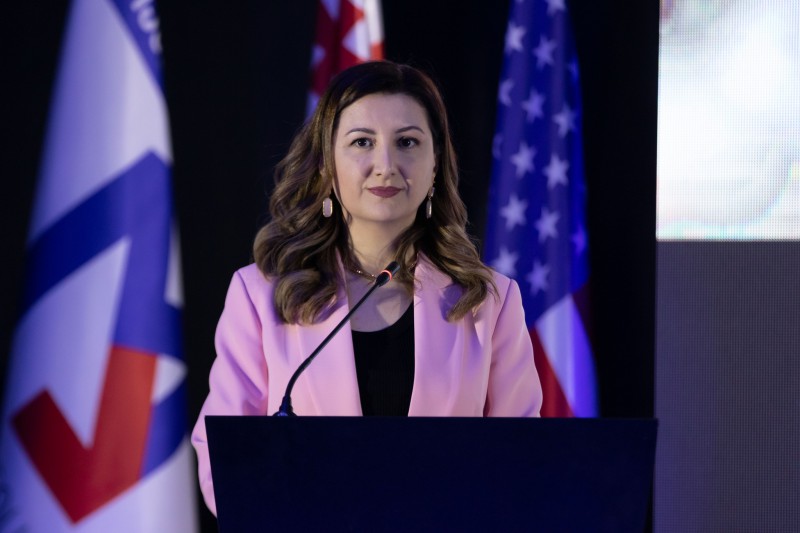 პროფესიული განათლების ბაზარზე ერთ-ერთი გამოწვევა ინფრასტრუქტურაა - მაგდა მაღრაძე