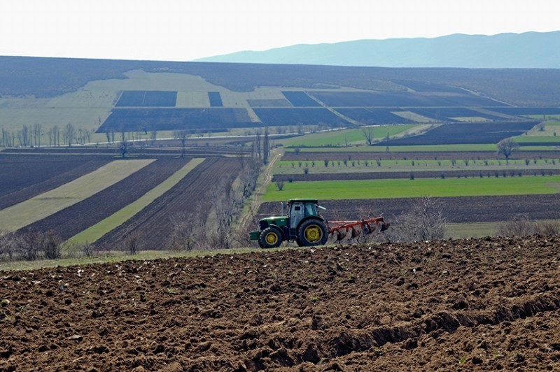 რატომ მცირდება მშპ-ში სოფლის მეურნეობის წილი