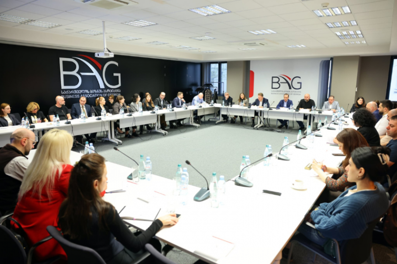 გარემოსდაცვითი შეფასების კოდექსში დაგეგმილი ცვლილებების მიზანი პრაქტიკაში გამოვლენილი ხარვეზების აღმოფხვრაა - ნინო თანდილაშვილი