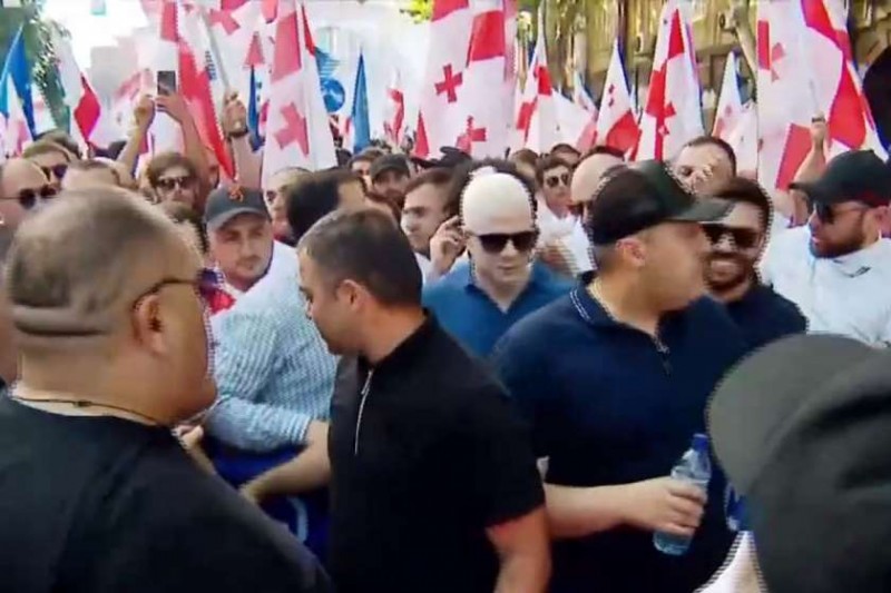 აუცილებლად უნდა გავხდეთ ევროპული ოჯახის ღირსეული წევრები -  ცოტნე ივანიშვილი
