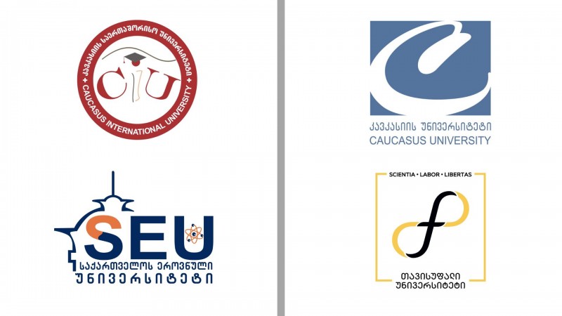 როგორია უმაღლესი სასწავლებლების ფინანსური მაჩვენებლები - სექტორის ანალიზი